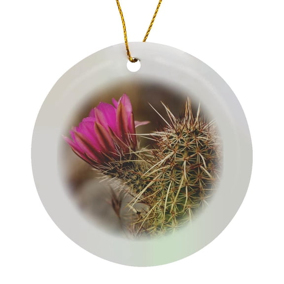 3drose, Hedgehog Cactus - Las Vegas, Nevada, Circle Porcelain Ornament
