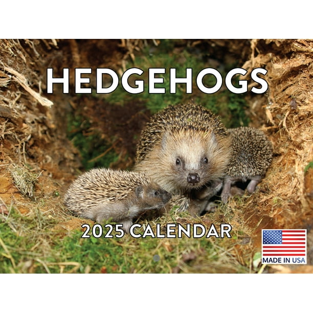 Wall Calendar 2025 Cute 