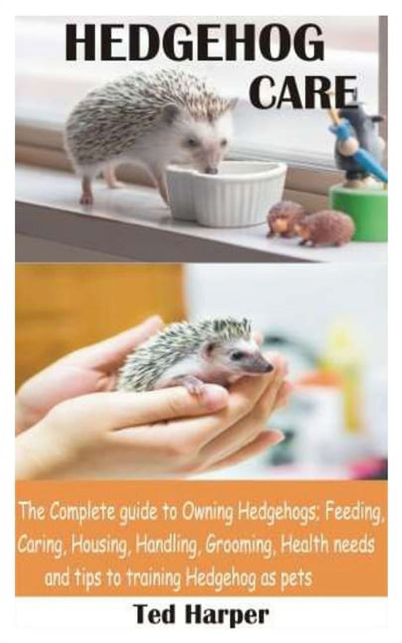 Hedgehog Care Hedgehog A Good Pet Hedgehog Care The Complete Guide
