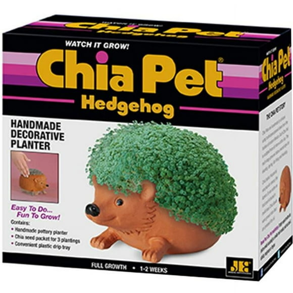 Hedgehog Decorative Planter Clay, Brown
