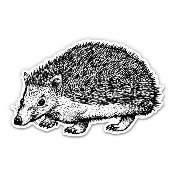 Hedgehog Drawing - 5" Vinyl Sticker - For Car Laptop I-Pad - Waterproof Decal