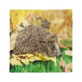 thumbnail image 1 of Hedgehog Head Scarf, Little Hedgehog, Head Wrap, 3 Sizes, by Ambesonne, 1 of 2