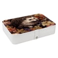 thumbnail image 1 of Hedgehog Jewelry Display Earring Holder Jewelry Box, PU Leather Organizer with Removable Compartment, Portable, 1 of 6