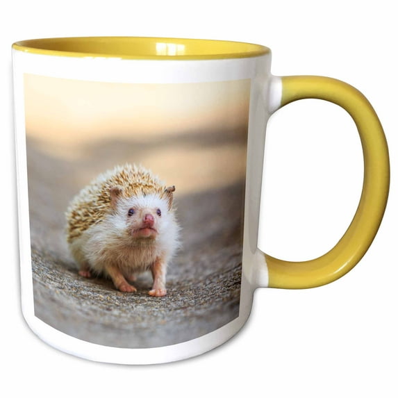 3drose, Hedgehog. Koh Samui, Thailand, 11oz Two-tone Yellow Mug