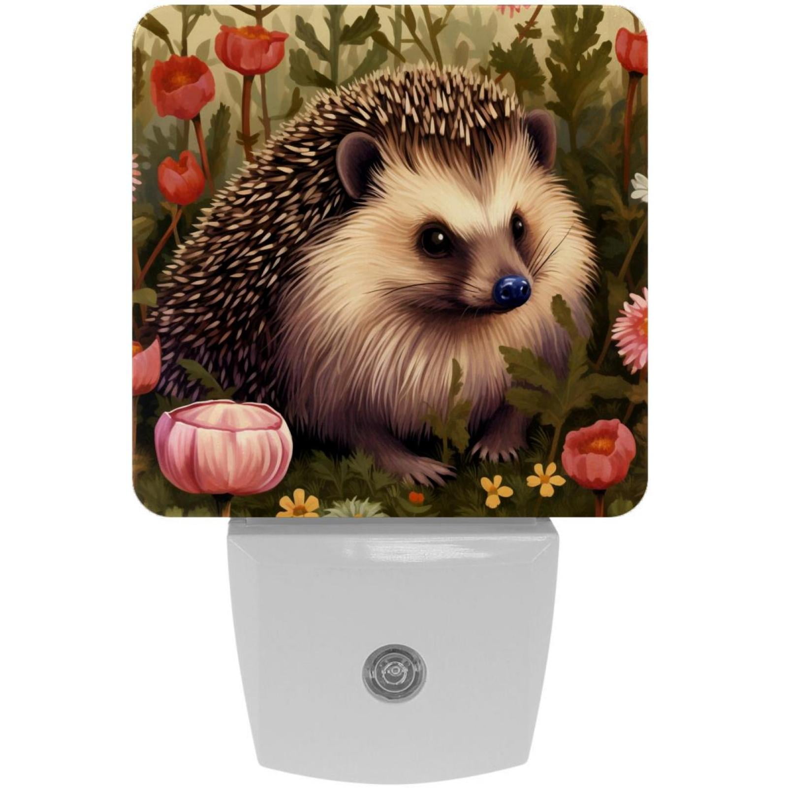 Hedgehog LED Square Night Lights - Energy Efficient and Contemporary ...