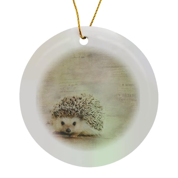 3drose, Hedgehog Mixed Media Art with Typographic Elements, Circle Porcelain Ornament