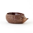 thumbnail image 1 of Hedgehog Planter, 1 of 1