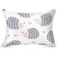 thumbnail image 1 of Hedgehog Polka Dot Pillowcase Standard Size, Super Soft Pillow Shams Covers, Plush Cozy Pillow Cases with Zipper, 20" X 26"（352） Home Decor Gifts, 1 of 6