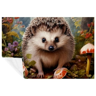 Walmart hedgehog blanket hotsell