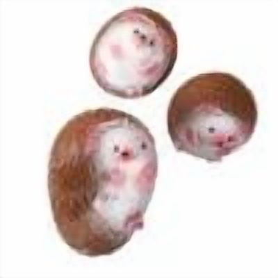Hedgehog Squishy, Slow Rise Sensory Fidget for Anxiety Relief, ADHD Focus and Desk Calming,Perfect Gift for Professionals