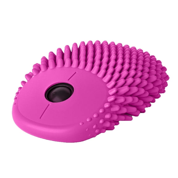 Hedgehog Hoglet Fidget Computer Mouse, Watermelon