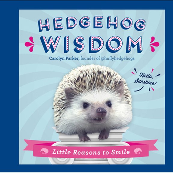 Pre-Owned Hedgehog Wisdom: Little Reasons to Smile (Hardcover) 0785837787 9780785837787