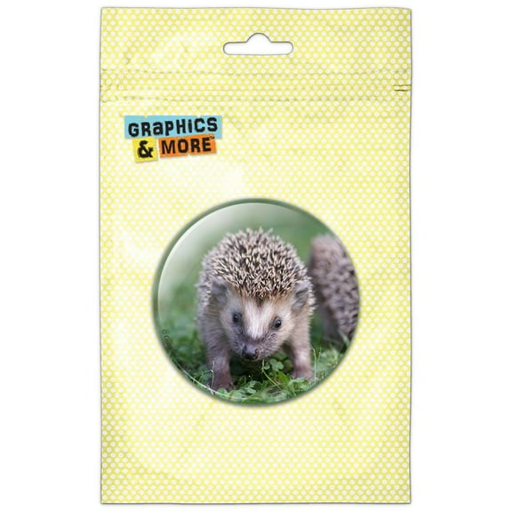 Hedgehog in Grass Refrigerator Button Magnet