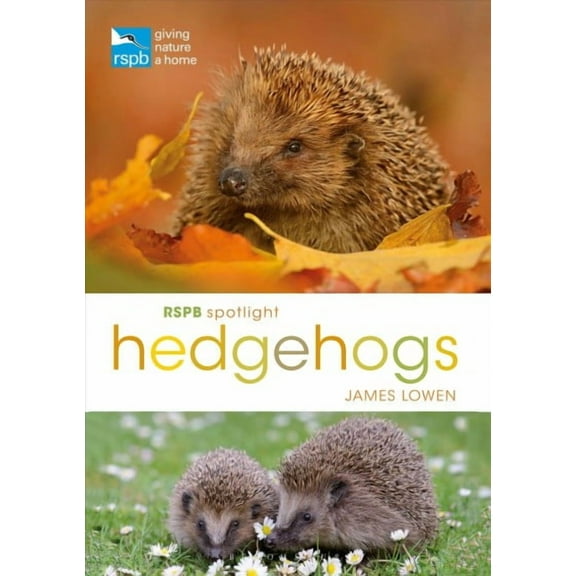 Hedgehogs
