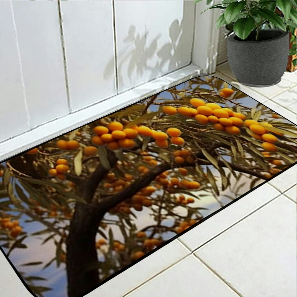 Heduofu Decorative Door Mat, Door Mat with Non-Slip Rubber Backing, Easy Cleaning, Traps Dirt, Rug for Entry, Patio, Garage 19.68*47.24 in