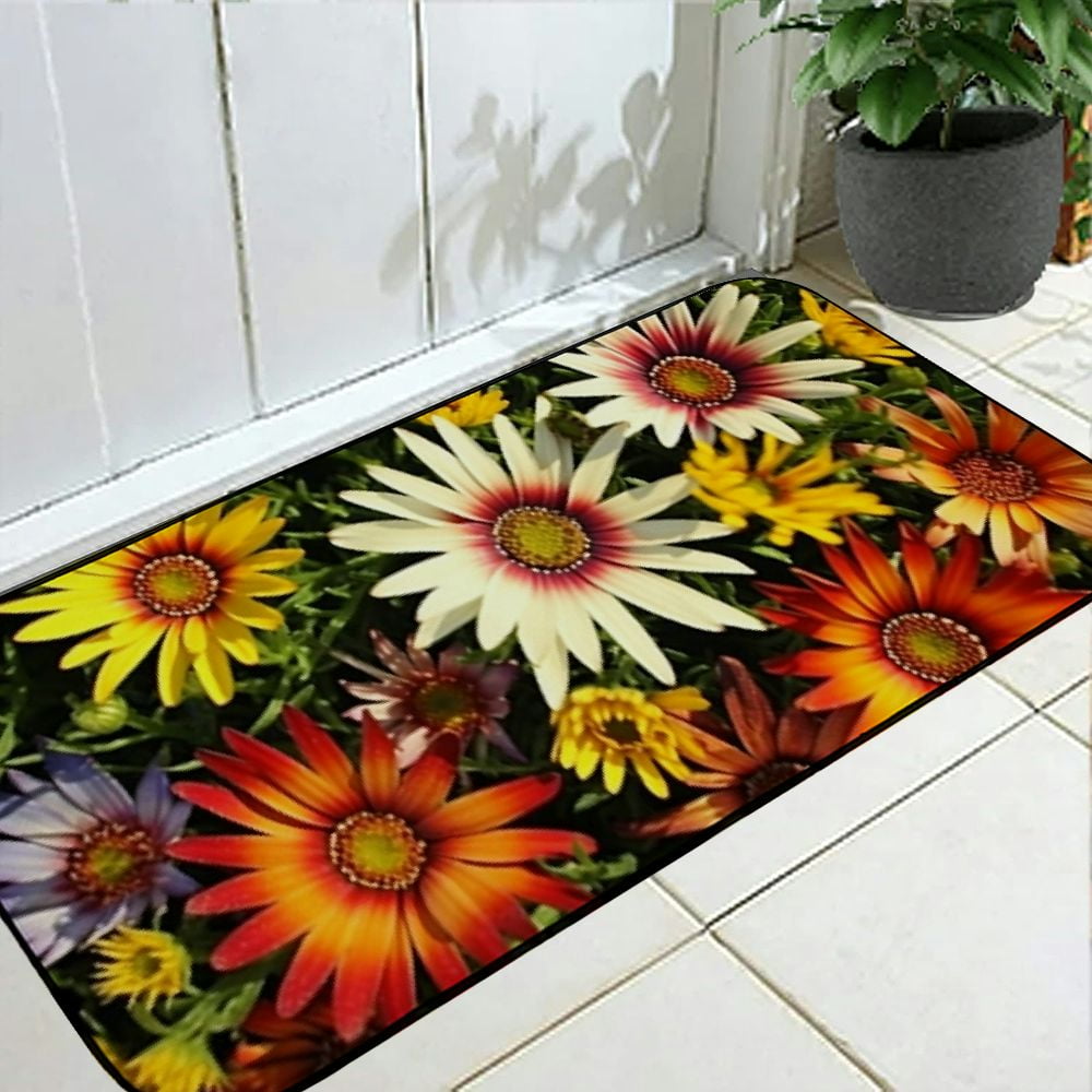Heduofu Decorative Door Mat, Door Mat with Non-Slip Rubber Backing, Easy Cleaning, Traps Dirt, Rug for Entry, Patio, Garage 19.68*47.24 in