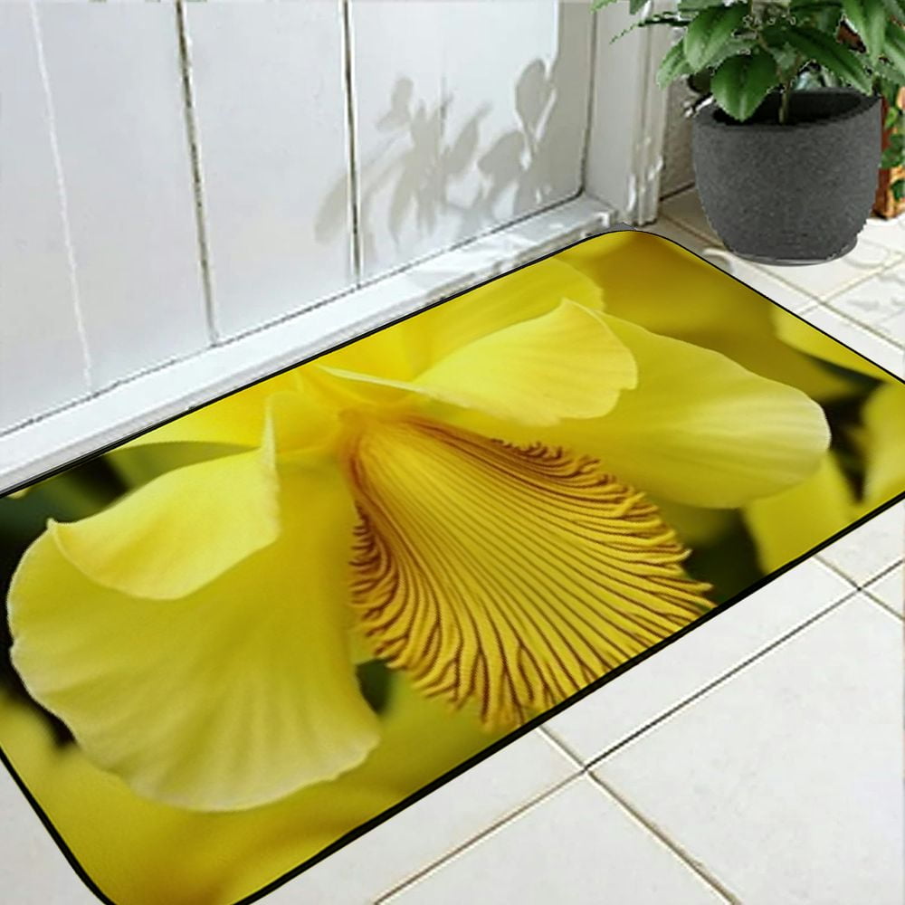 Heduofu Decorative Door Mat, Door Mat with Non-Slip Rubber Backing, Easy Cleaning, Traps Dirt, for Entry, Patio, Garage 19.68*47.24 in