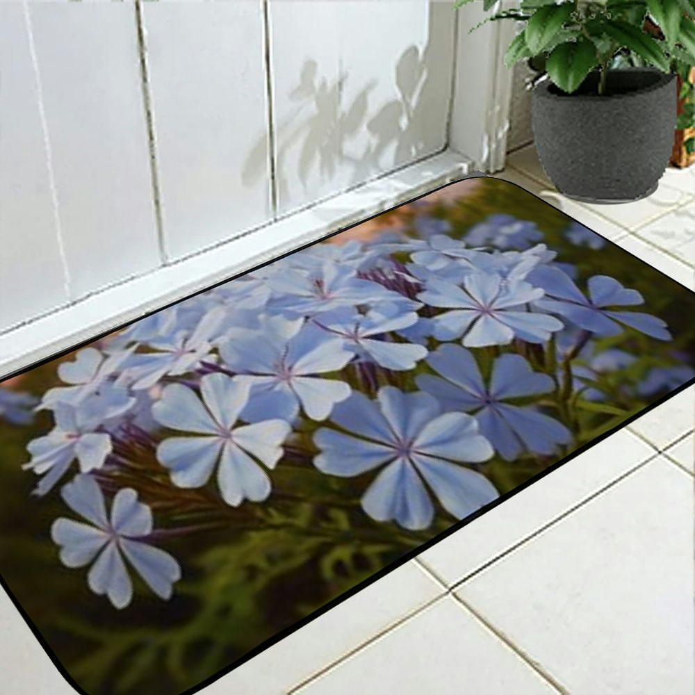 Heduofu Decorative Door Mat, Door Mat with Non-Slip Rubber Backing, Cleaning, Traps Dirt, for Entry, Patio, Garage - Plumbago Flowers Spring Floral Blossom Bloom 19.68*47.24 in