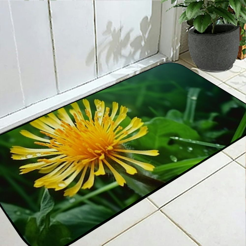 Heduofu Decorative Door Mat, Door Mat with Non-Slip Rubber Backing, Easy Cleaning, Traps Dirt, Rug for Entry, Patio, Garage  - Flower Blossom Bloom Plant Close Spring 19.68*47.24 in