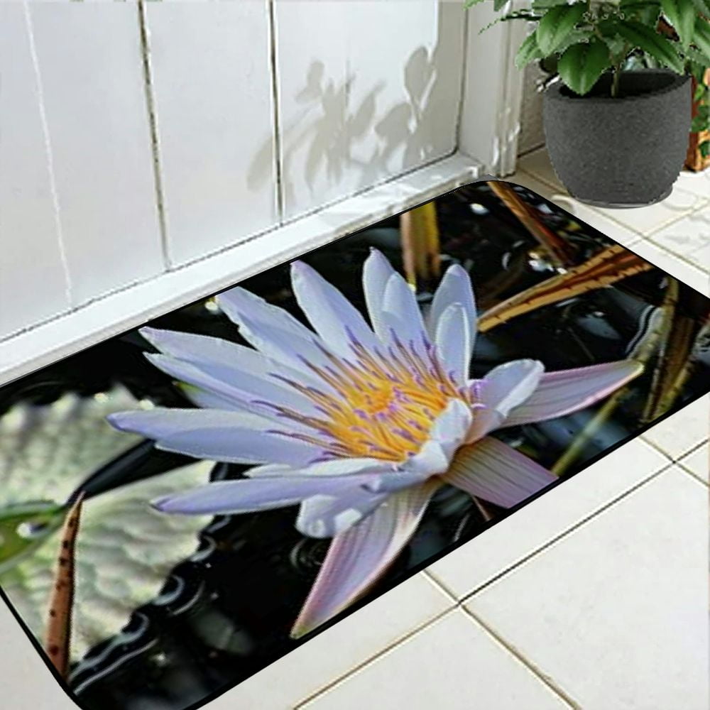 Heduofu Decorative Door Mat, Door Mat with Non-Slip Rubber Backing, Easy Cleaning, Traps Dirt, Rug for Entry, Patio, Garage  - Plant Nature Flower Leaf Petal 19.68*47.24 in