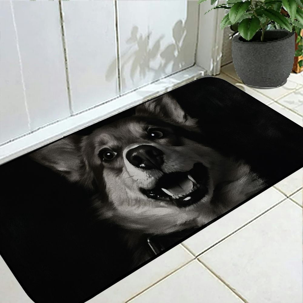 Heduofu Welcome Mat, Decorative Door Mat, Door Mat with Non-Slip Rubber Backing, Easy Cleaning, Traps Dirt, Rug for Entry, Patio, Garage