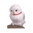 thumbnail image 1 of Hedwig Accessory, 1 of 2