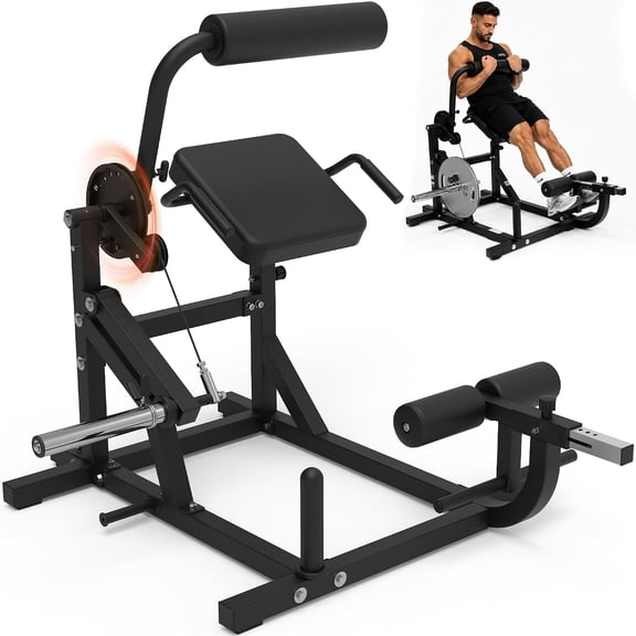 HeeH AB Crunch Back Extension Machine: AB Workout Core Machine Upper Body Strength Training 2-in-1 Core Trainer Lower Back Home Gym Equipment Plate Loaded Training with Cable System Black