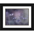 thumbnail image 1 of Heemskerk, Bernadette 14x11 Black Ornate Wood Framed with Double Matting Museum Art Print Titled - End Of Season, 1 of 4