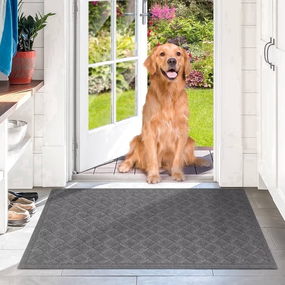 Heeneeso BZ31 Outdoor Rug Checkered Door Mat, Machine Washable Doormat Indoor Absorbent