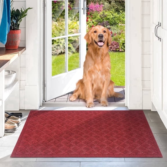 Heeneeso BZ32 Outdoor Rug Checkered Door Mat, Machine Washable Doormat Indoor Absorbent