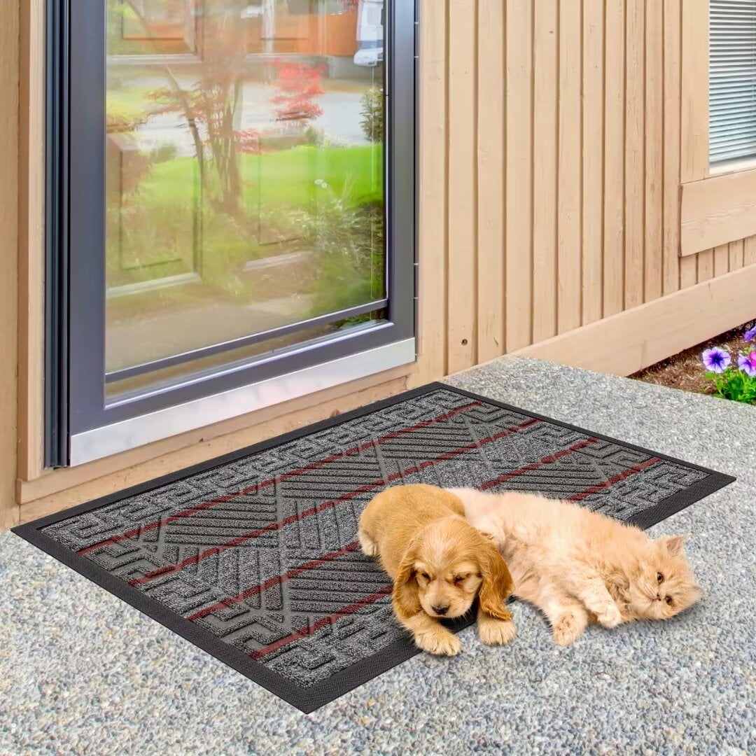 Heeneeso Low Profile Indoor/Outdoor Entryway Rug, DM31 Rubber Backing ...