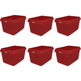 https://i5.walmartimages.com/seo/Hefty-18-Gallon-Plastic-Storage-Tote-with-HIRISE-Lid-Holiday-Red-Set-of-6_f1b2fdc4-359b-47c0-af5d-c73286bd61eb.adbfd3f296ce153da2790cf11c3994ae.jpeg?odnHeight=264&odnWidth=264&odnBg=FFFFFF