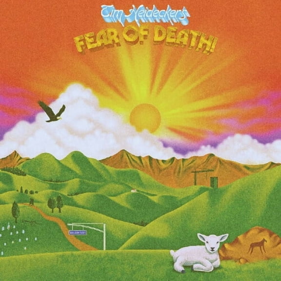 Heidecker,Tim - Fear Of Death - Music & Performance - Vinyl