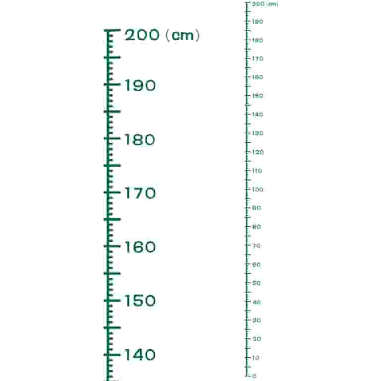 Height Chart Ruler 200cm Metric System with Transfer Film, Dark Green
