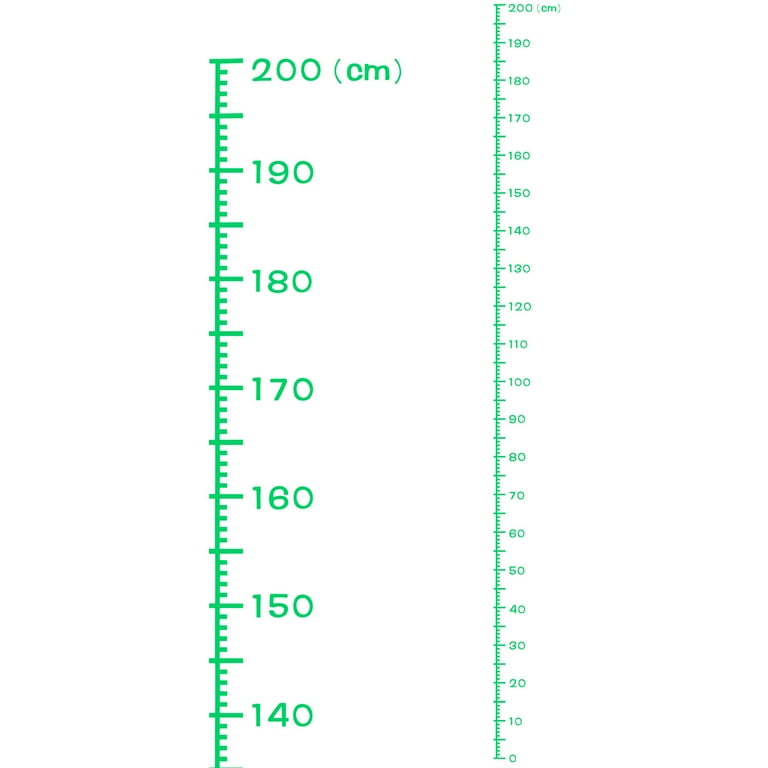 Height Chart Ruler 200cm Metric System PVC with Transfer Film Green