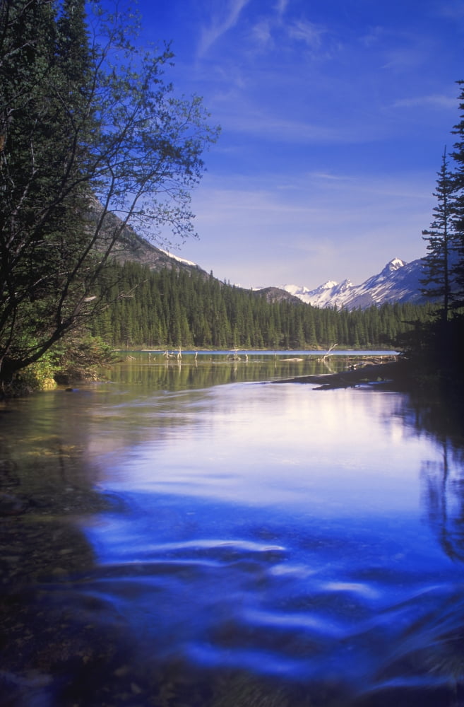 Height Of The Rockies Provincial Park Canvas Art - Carson Ganci Design Pics (11 x 17)