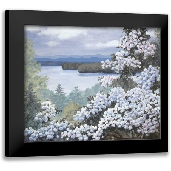 Heigl, Franz 23x20 Black Modern Framed Museum Art Print Titled - Water base I