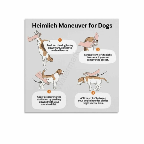Heimlich Maneuver For Dogs Pet First Aid Poster (2) Canvas Painting Posters And Prints Wall Art for Living Room Bedroom Decor
