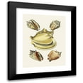 thumbnail image 1 of Heinrich Carl Küster 12x14 Black Modern Framed Museum Art Print Titled - The Wing Snails (Strombea) Pl.06 (1845), 1 of 5