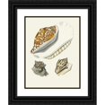thumbnail image 1 of Heinrich Carl Küster 15x18 Black Ornate Wood Framed Double Matted Museum Art Print Titled - The Wing Snails (Strombea) Pl.05 (1845), 1 of 5