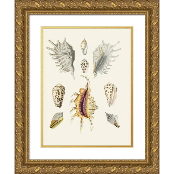 Heinrich Carl Küster 15x18 Gold Ornate Wood Frame and Double Matted Museum Art Print Titled - The Wing Snails (Strombea) Pl.19 (1845)