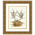 thumbnail image 1 of Heinrich Carl Küster 15x18 Gold Ornate Wood Frame and Double Matted Museum Art Print Titled - The Wing Snails (Strombea) Pl.22 (1845), 1 of 4