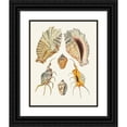 thumbnail image 1 of Heinrich Carl Küster 20x24 Black Ornate Framed Double Matted Museum Art Print Titled: The Wing Snails (Strombea) Pl.16 (1845), 1 of 5