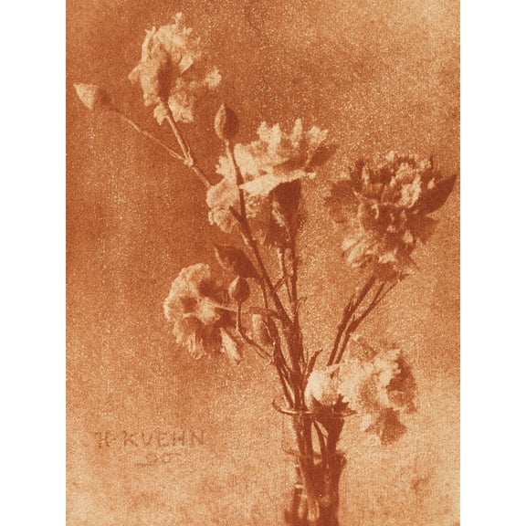 Heinrich Kuhn Still Life With Carnations Photo Extra Large XL Wall Art Poster Print