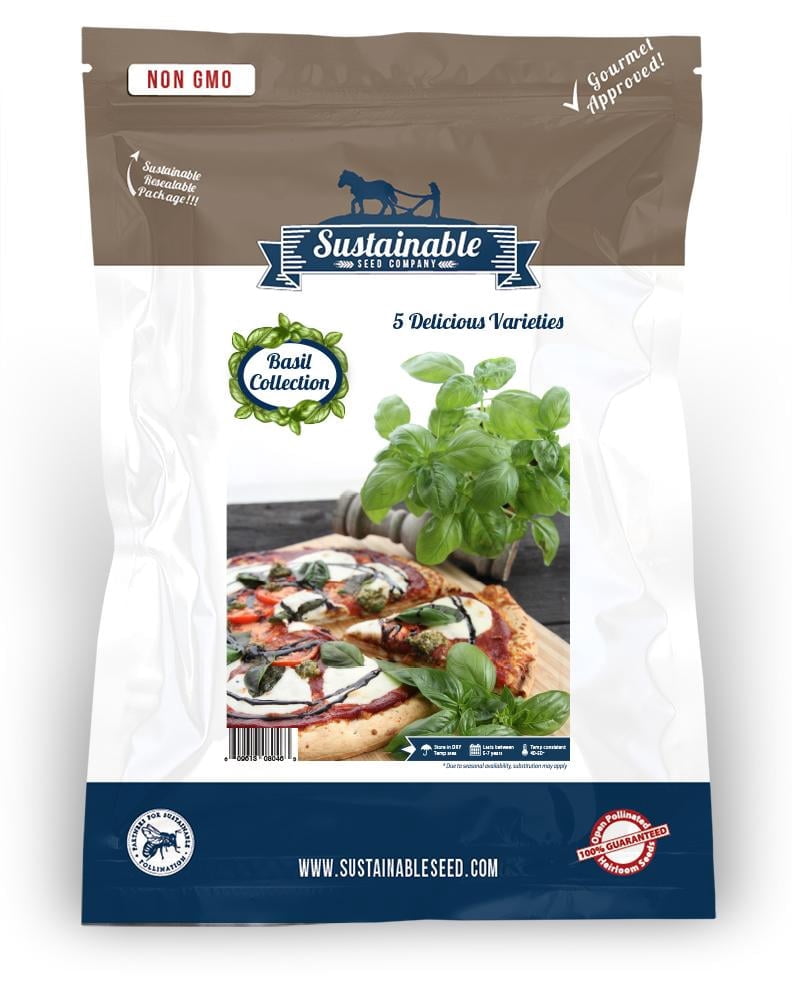 Sustainable Seed Company Herb Seed Collection 5 Variety Basil Plant Seeds, Easy To Grow