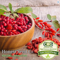 Honest Seed Heirloom 25 Goji Berry Garden Seeds, Non-GMO