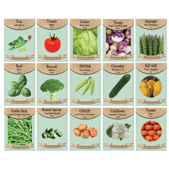 Heirloom Vegetable & Herb Seed Kit  15 Variety Garden Pack  Non-GMO Seeds for Planting  Includes Tomato, Lettuce, Cucumber, Onion, Broccoli & More