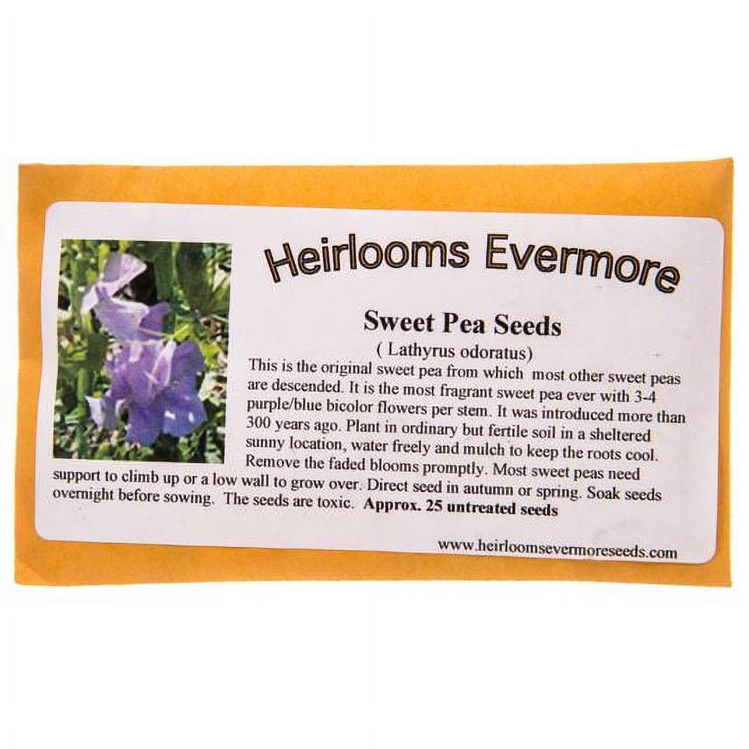 Heirlooms Evermore Sweet Pea Flower Seeds25 seeds