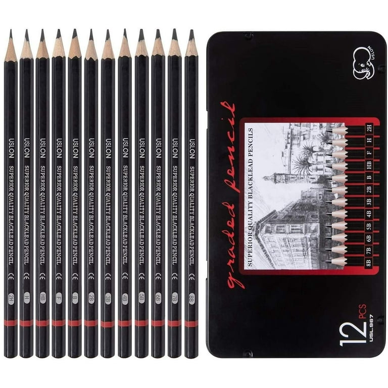 12 PIECE PROFESSIONAL PENCIL SET - Skilled Drawing