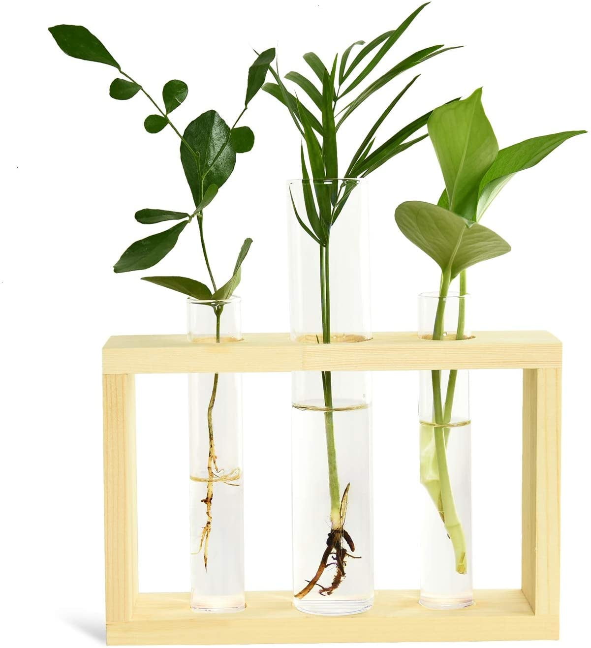 Heldig Test Tube Planter Plant Propagation Station Glass Terrarium Test Tube  with Wood Stand for Propagating Hydroponic Plants Home Office DecorationB 